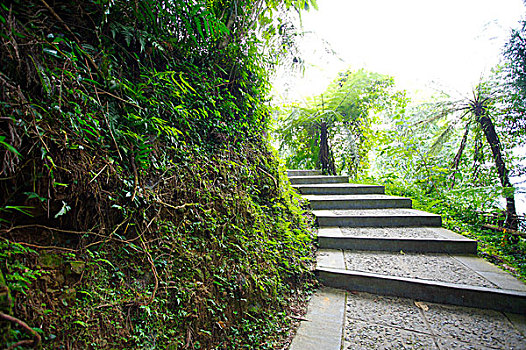 nhạc chế kiếp đá gà