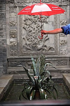 soi kèo trận việt nam
