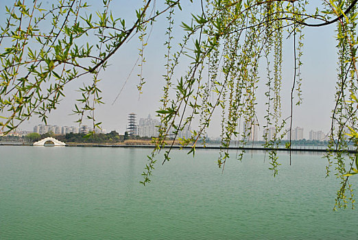 dafabet asia