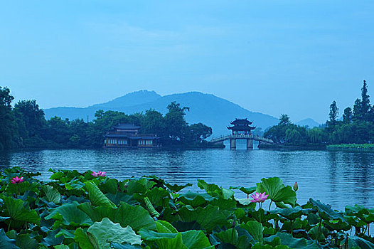 s666 plus đăng nhập