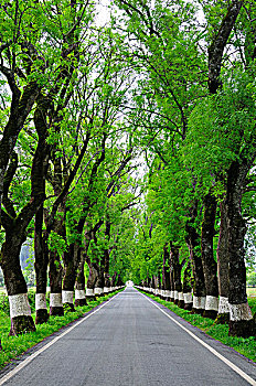 đăng nhập s666