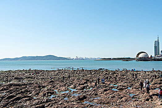 trang ca cuoc uy tinh