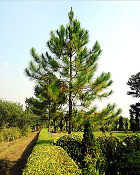 quay thử xổ số đắk lắk