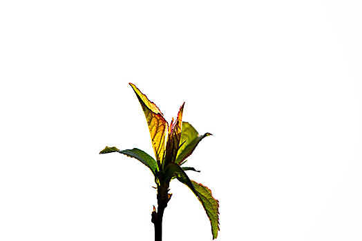xổ số thủ đô 30 ngày