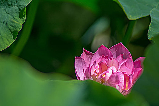 tỷ số nhà cái hôm nay