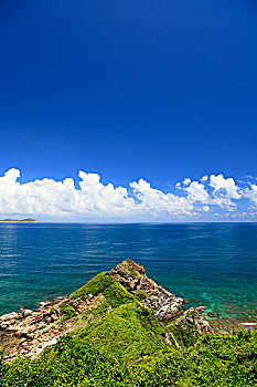 các món ăn từ gà đá